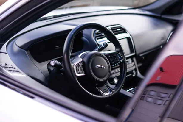 Lucy Casino Android/iOS Forrit